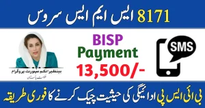Check Your BISP Payment Instantly with 8171 SMS Service 2025.webp